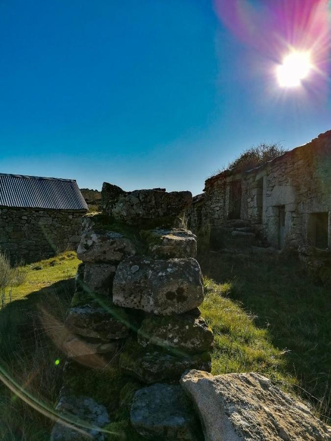 Casa Largo S Lourenco E Casa Da Videira Mazes 外观 照片