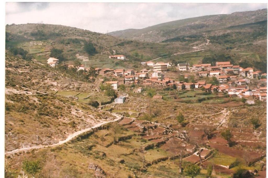 Casa Largo S Lourenco E Casa Da Videira Mazes 外观 照片